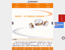 Tablet Screenshot of bigcap.net